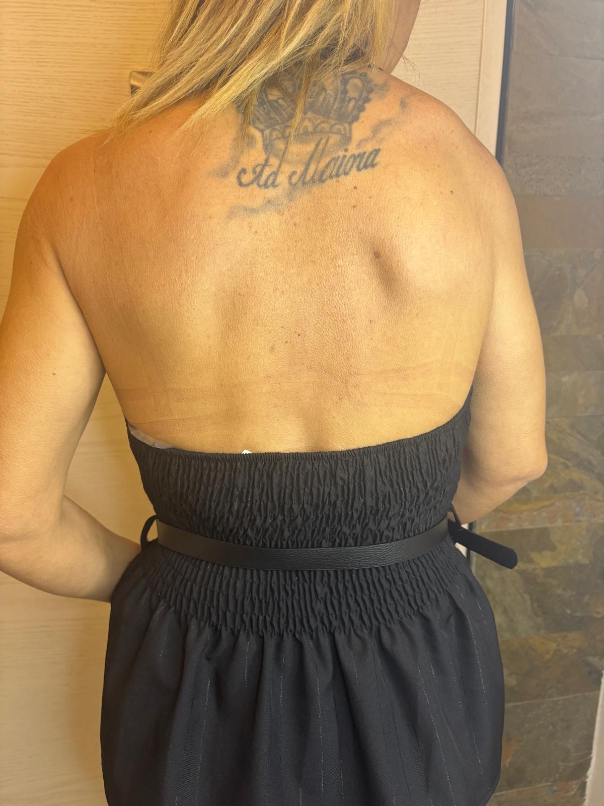 Top Lory 251058